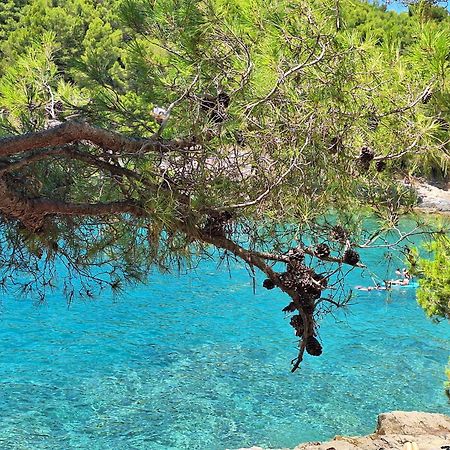 Villa Kamelija Fažana Εξωτερικό φωτογραφία