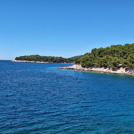 Villa Kamelija Fažana Εξωτερικό φωτογραφία