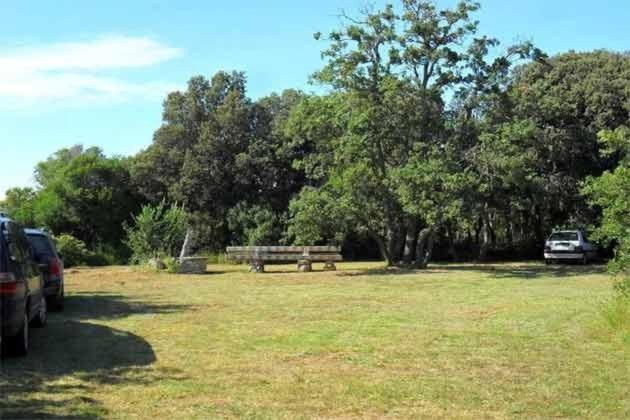 Villa Kamelija Fažana Εξωτερικό φωτογραφία