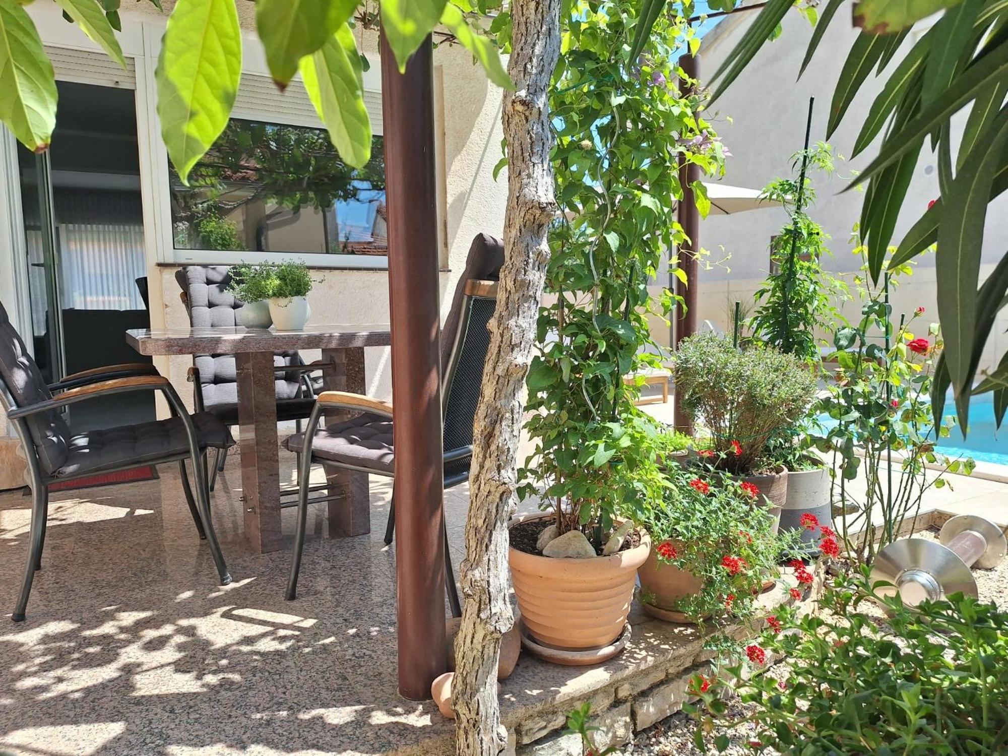 Villa Kamelija Fažana Εξωτερικό φωτογραφία