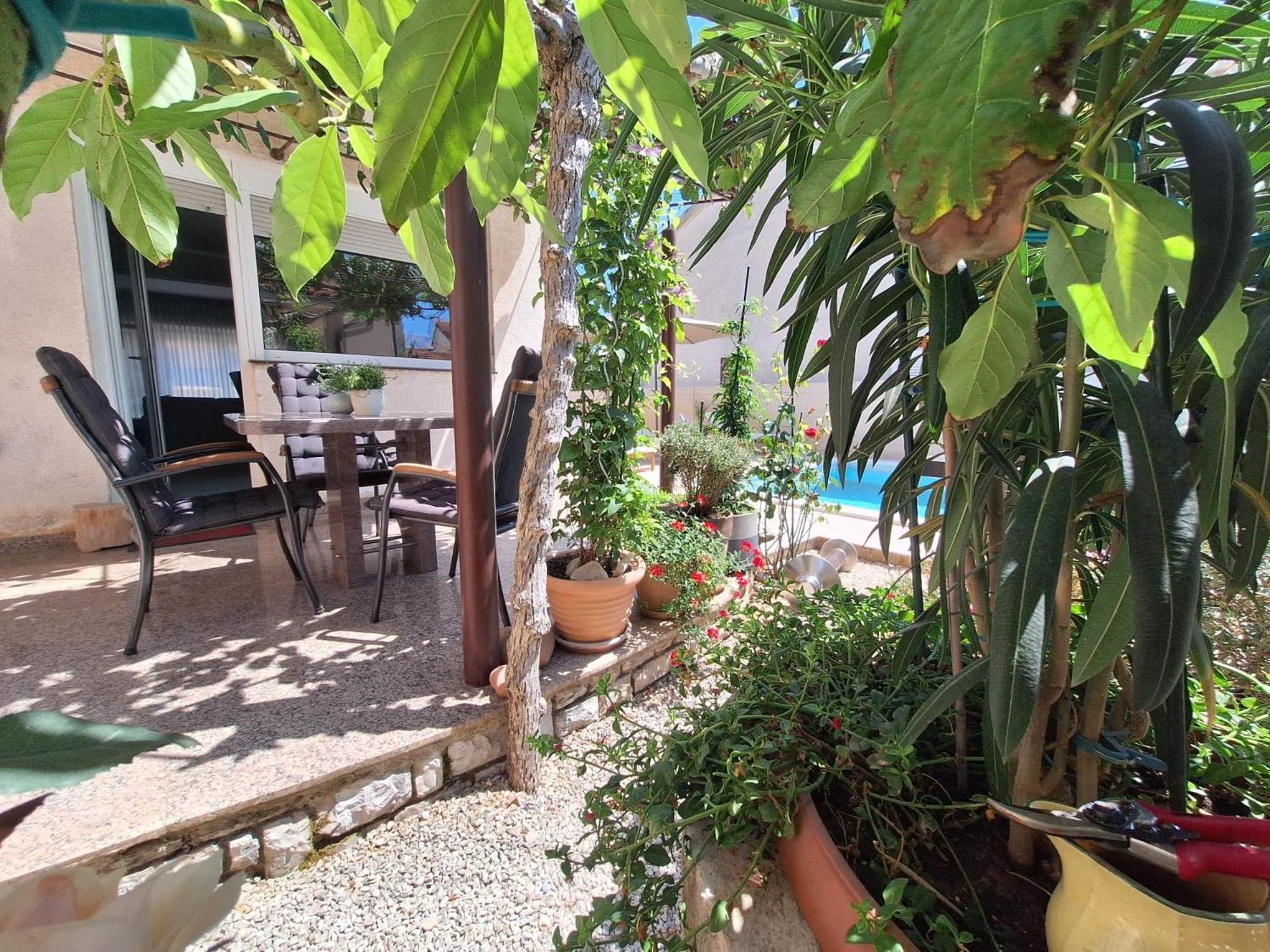 Villa Kamelija Fažana Εξωτερικό φωτογραφία