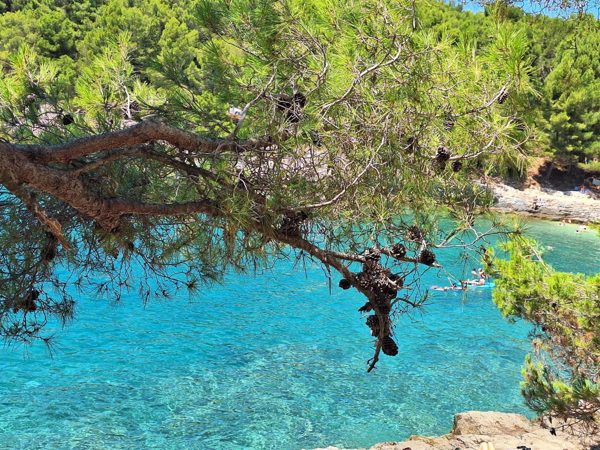 Villa Kamelija Fažana Εξωτερικό φωτογραφία
