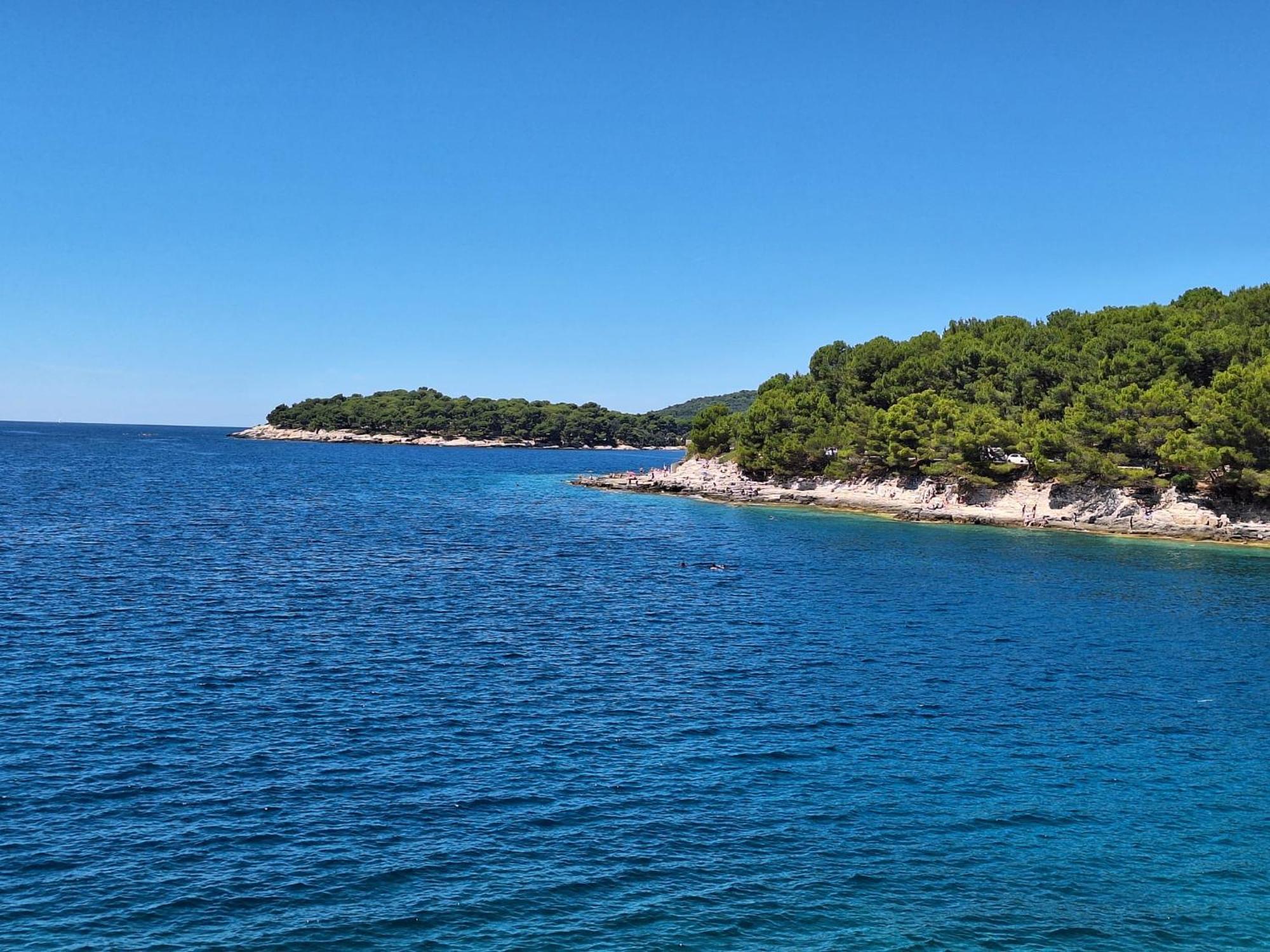 Villa Kamelija Fažana Εξωτερικό φωτογραφία