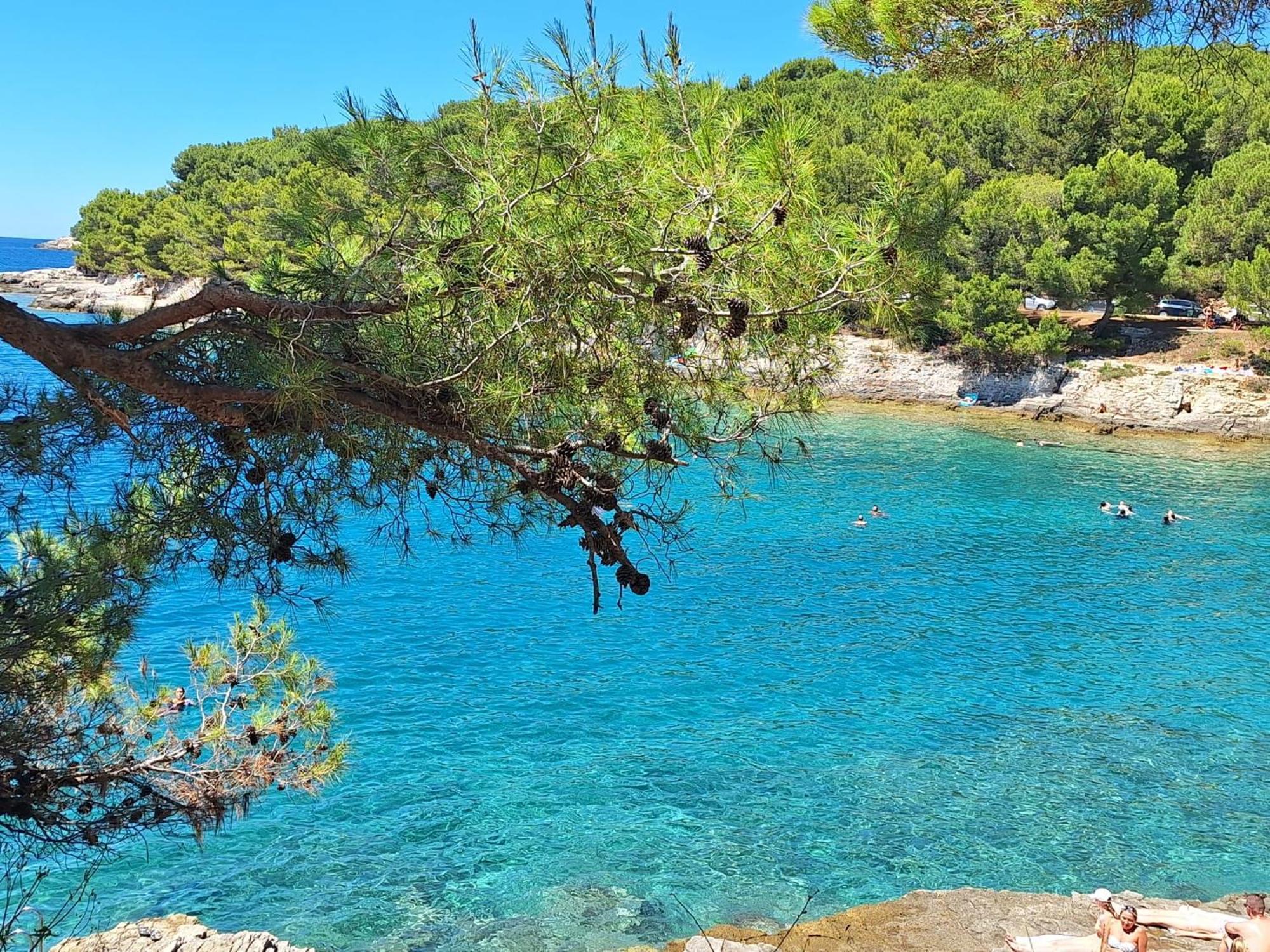 Villa Kamelija Fažana Εξωτερικό φωτογραφία
