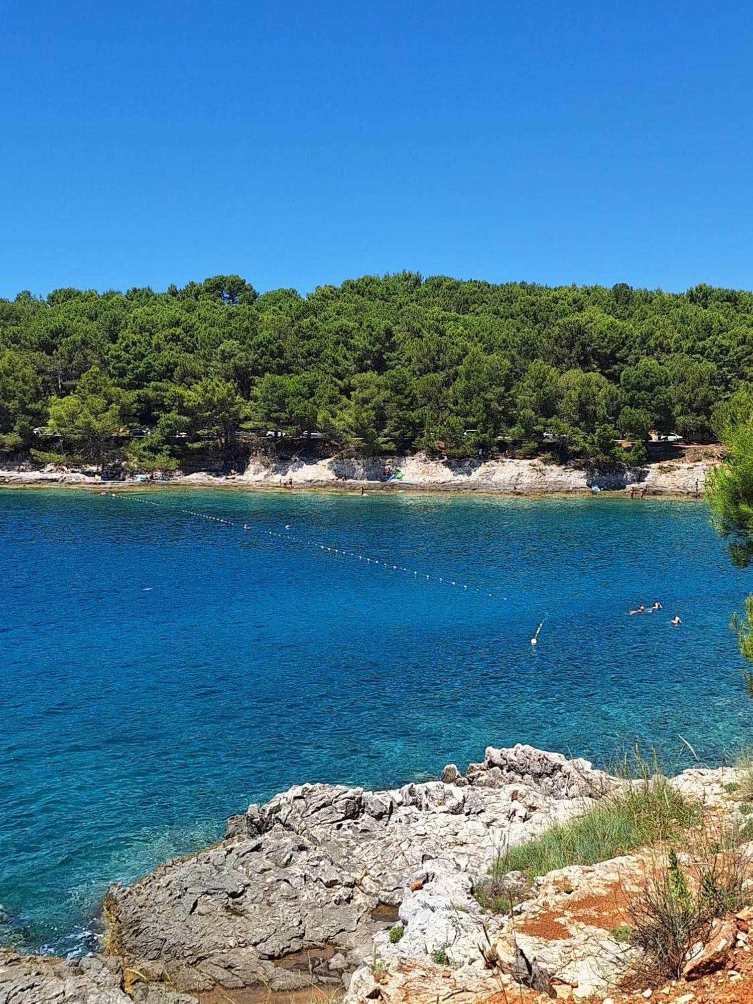 Villa Kamelija Fažana Εξωτερικό φωτογραφία